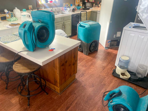 Best Sewage cleanup and water damage restoration  in Meraux, LA