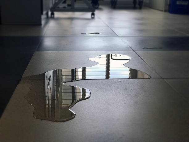 Best Commercial water damage restoration  in Meraux, LA