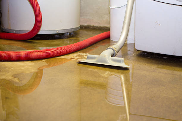 Best Water damage cleanup near me  in Meraux, LA