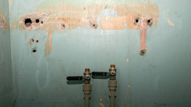 Best Water damage cleanup near me  in Meraux, LA