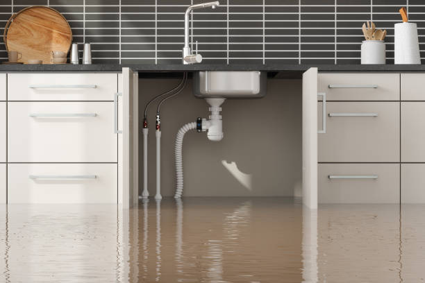 Best 24/7 water damage repair  in Meraux, LA