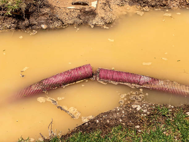 Best Professional water damage repair  in Meraux, LA