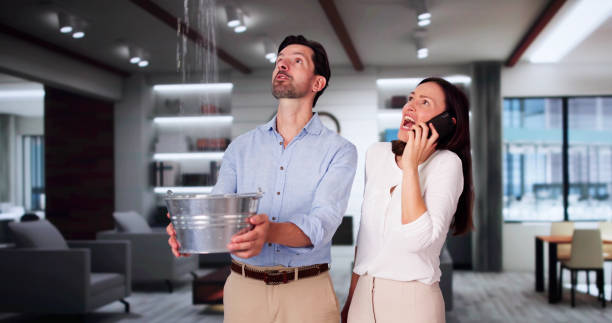 Best Water damage restoration specialists  in Meraux, LA
