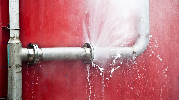 Best Mold removal after water damage  in Meraux, LA